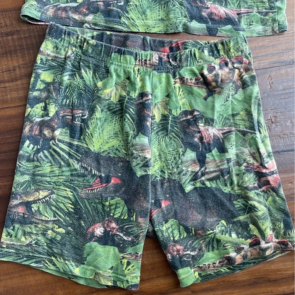 Beautiful PJ Pajamas set dinosaur